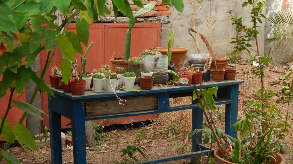 Jardín de Biologia UMCE