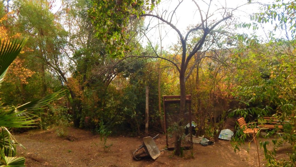 Jardín de Biología