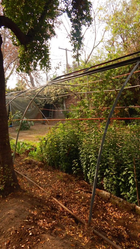Jardín de Biología - UMCE