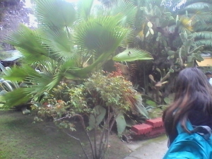 losAlmendros03