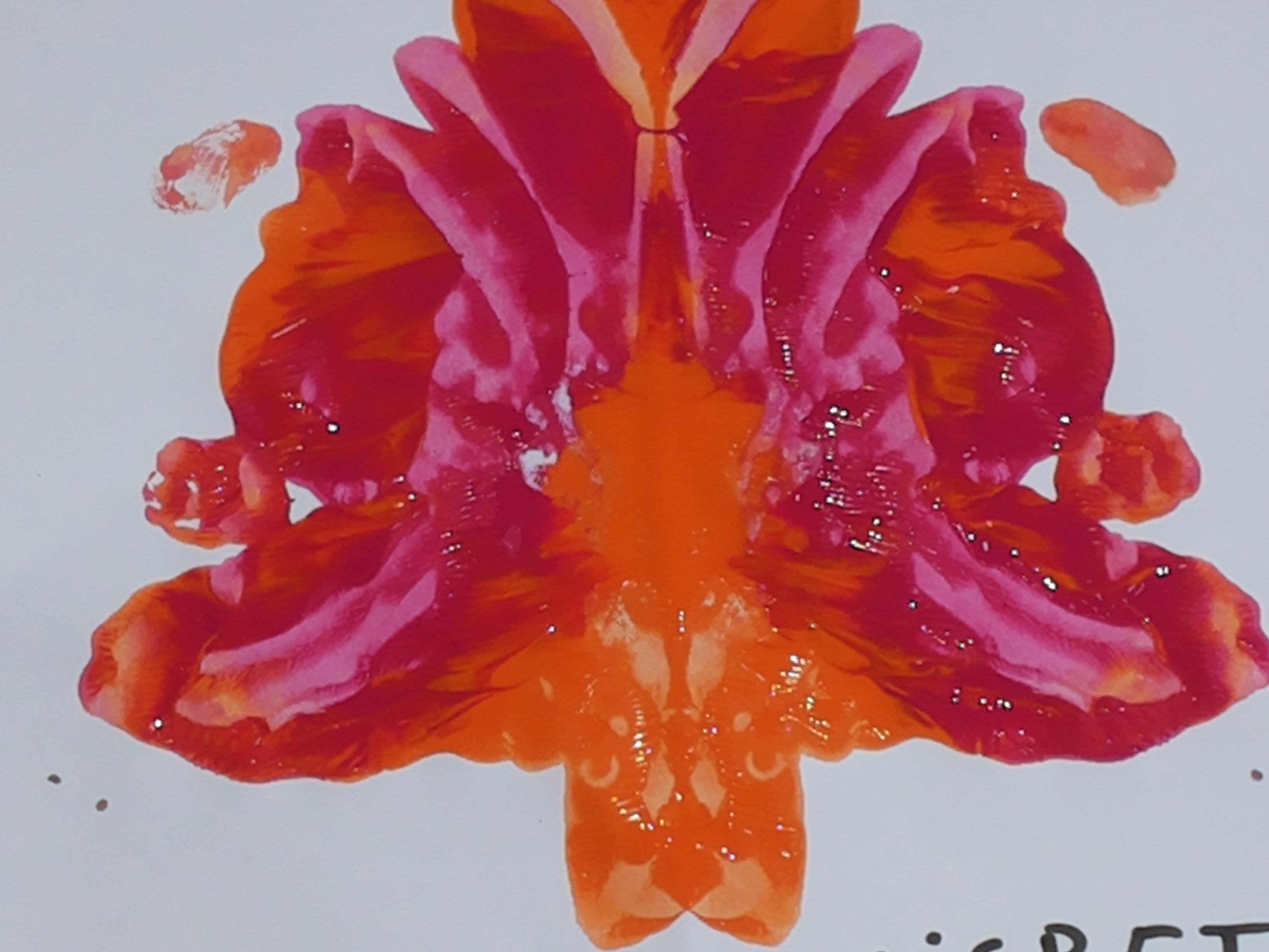 Pintura hecha por Gustavo, a él no le gusta pintar sin pinceles, ni mesclar colores y mucho menos ensuciar sus manos con tempera .Pero tras explicaciones de la técnica y el porqué de su modalidad, Gustavo creó esto. Por otro lado esto significó una descompensación posterior ya que sus dedos quedaron llenos de tempera mezclada.
