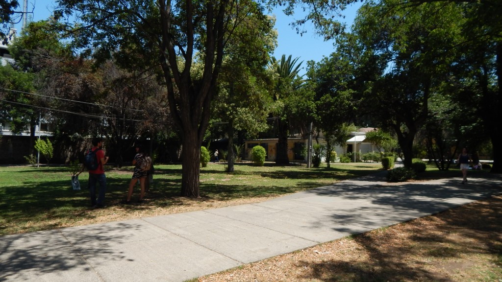 DSCN3579