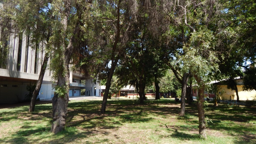 Cs. Básicas y Fisica