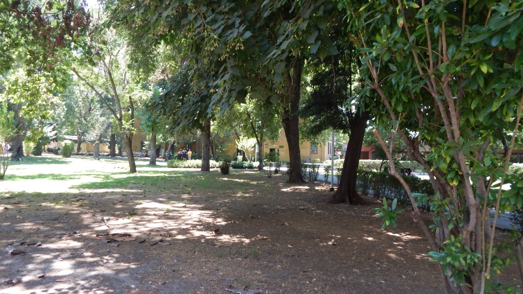 DSCN3627