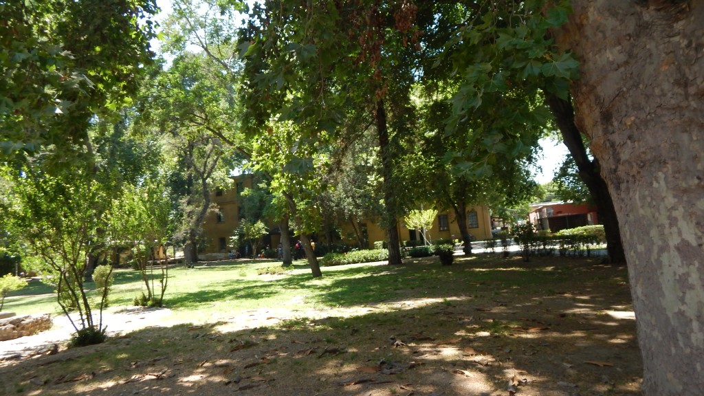 DSCN3628